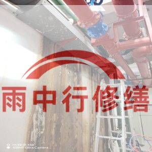 黄浦某商业综合体地下室堵漏加固