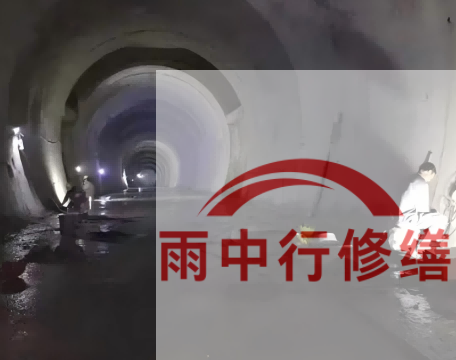 黄浦长安镇隧道堵漏工程案例