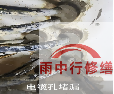 黄浦电缆线空洞堵漏加固案例