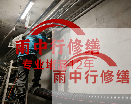 黄浦电缆线空洞堵漏加固案例