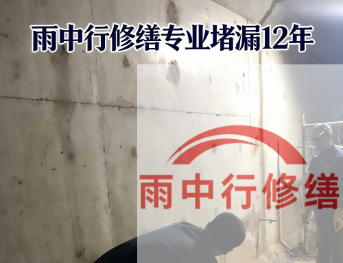 黄浦某商场电梯井堵漏案例